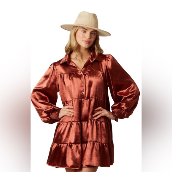 Winter Fall Country Gorgeous Dress w/ Pockets in Bronze NWT - Picture 5 of 12